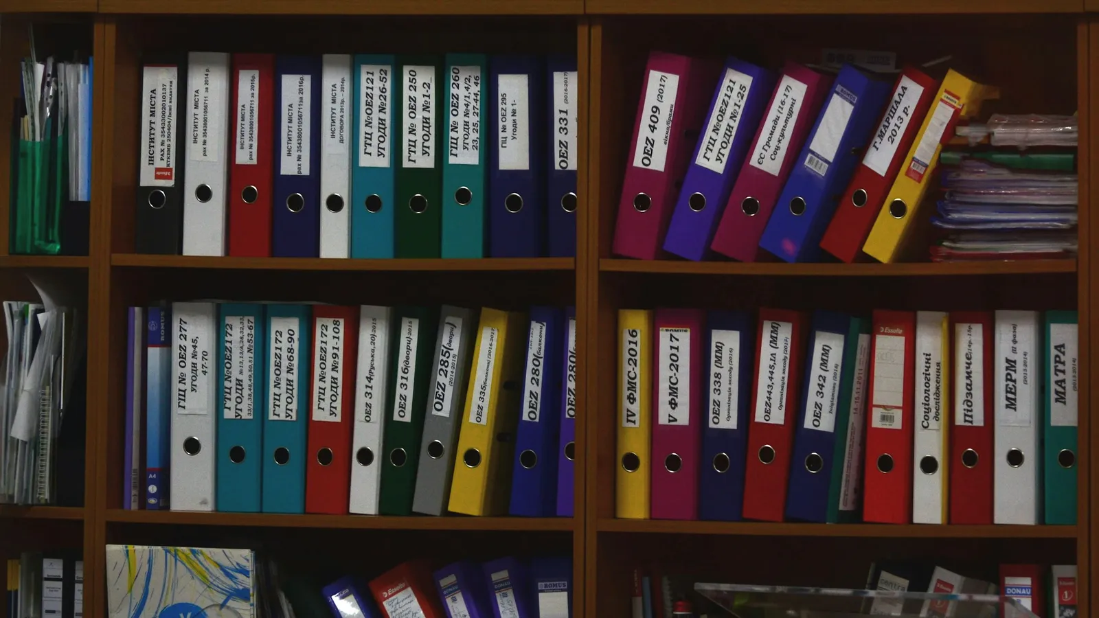 Shelves of labelled ring binders