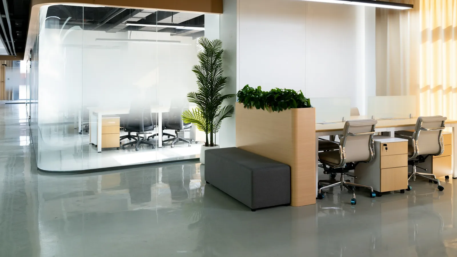 A modern open-plan office with glass meeting rooms